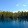 美瑛の青の池