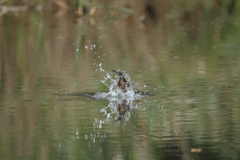 遠い(ヌルっと2)