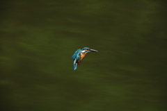 秒間５枚の不幸１