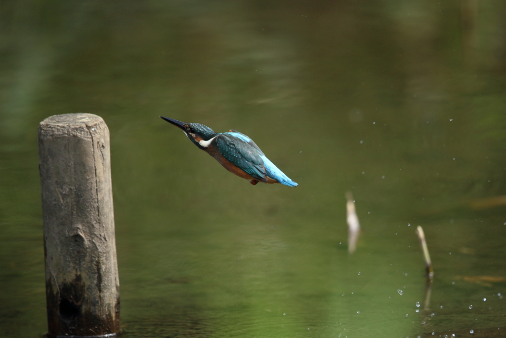 手持ち６連射④