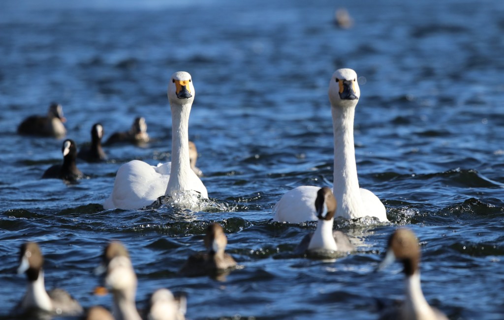 見つめる先は？