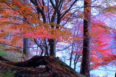 榛名湖畔の紅葉
