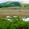 八島ヶ原湿原⑦