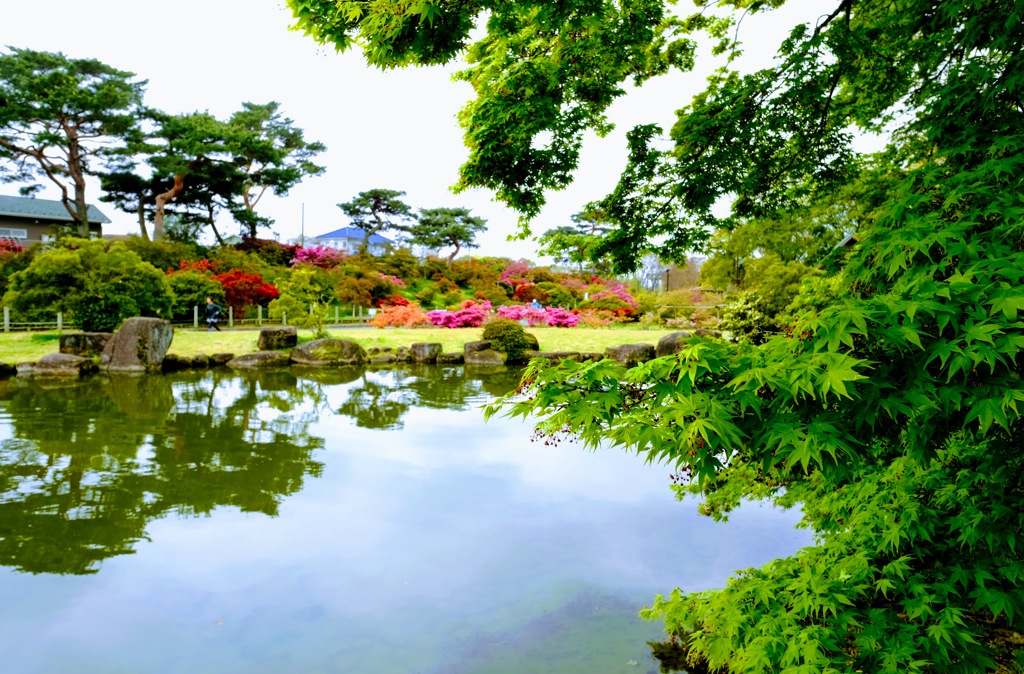 つつじが岡公園④