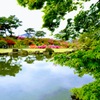 つつじが岡公園④