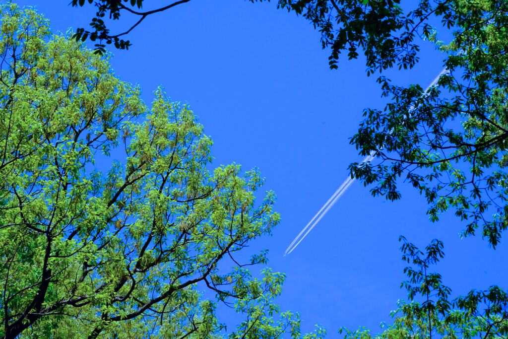 飛行機雲