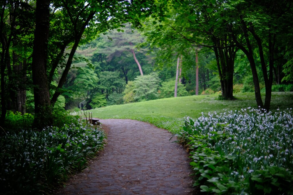 赤城自然園③