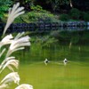 北の丸公園