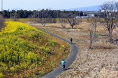 サイクリングロード