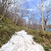 残雪