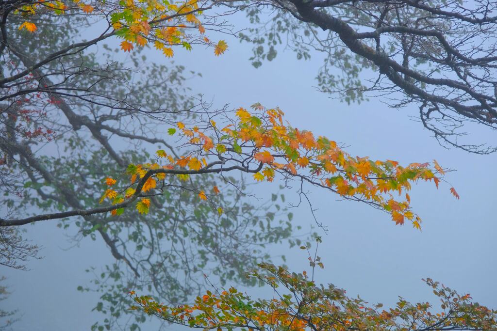 小沼湖畔②