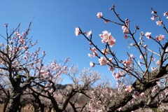 青空に映えて⑥