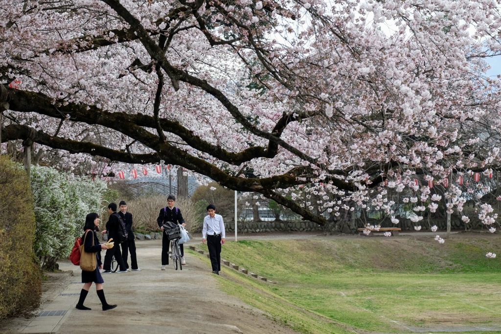 沼田公園①