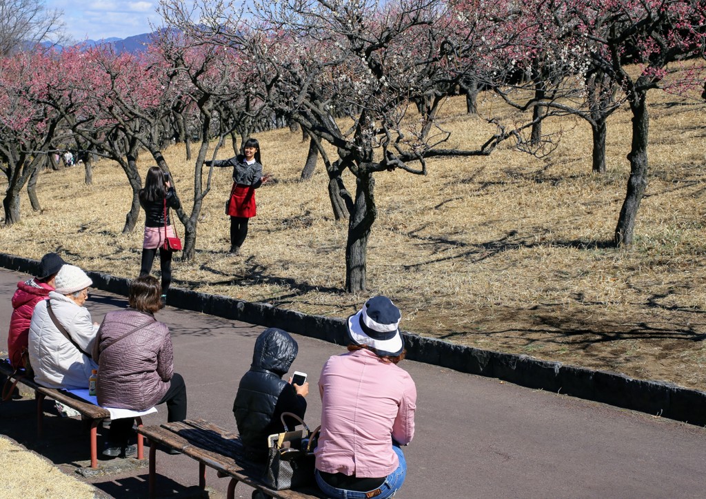 くつろぎの週末