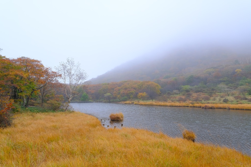 雨天の覚満淵①
