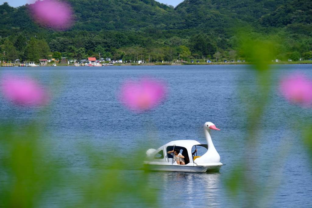 初秋の風①