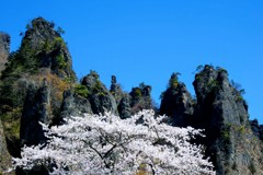 妙義山と桜①