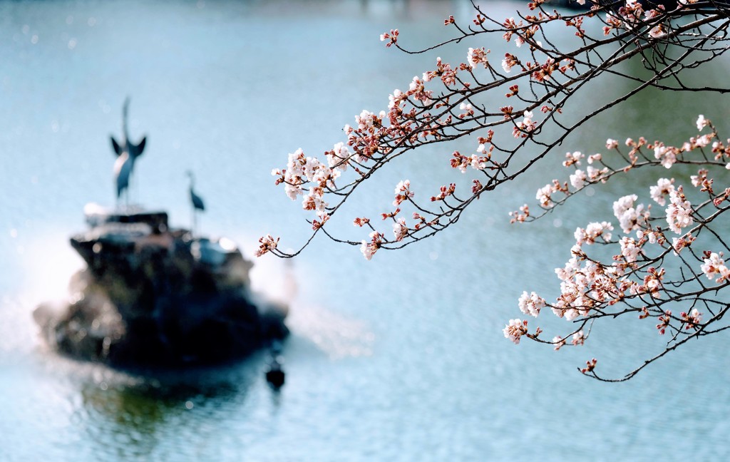 前橋公園②