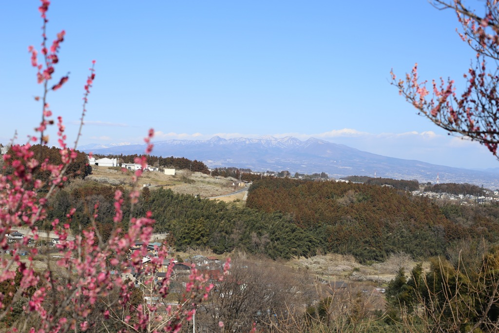 箕郷梅林からの眺望③