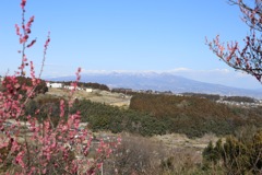 箕郷梅林からの眺望③