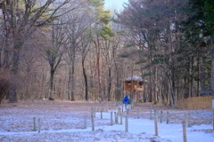 初冬の赤城自然園③