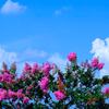 夏空②