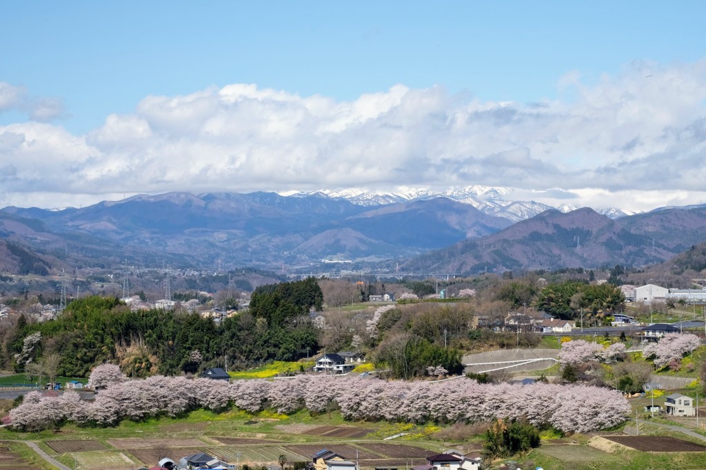 高原の風景④