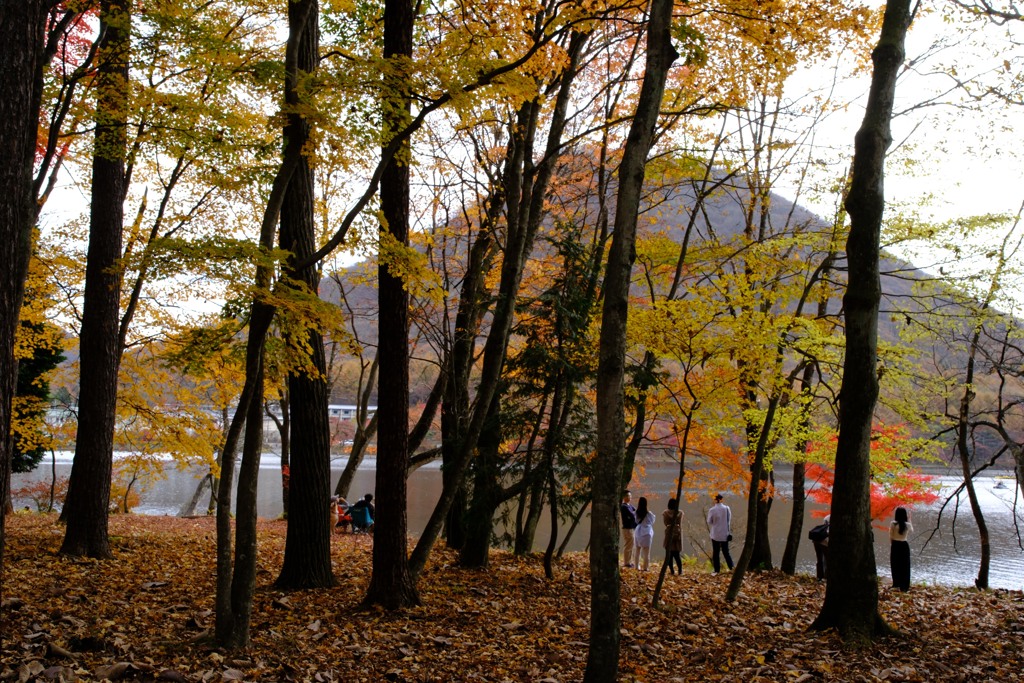 榛名湖紅葉②