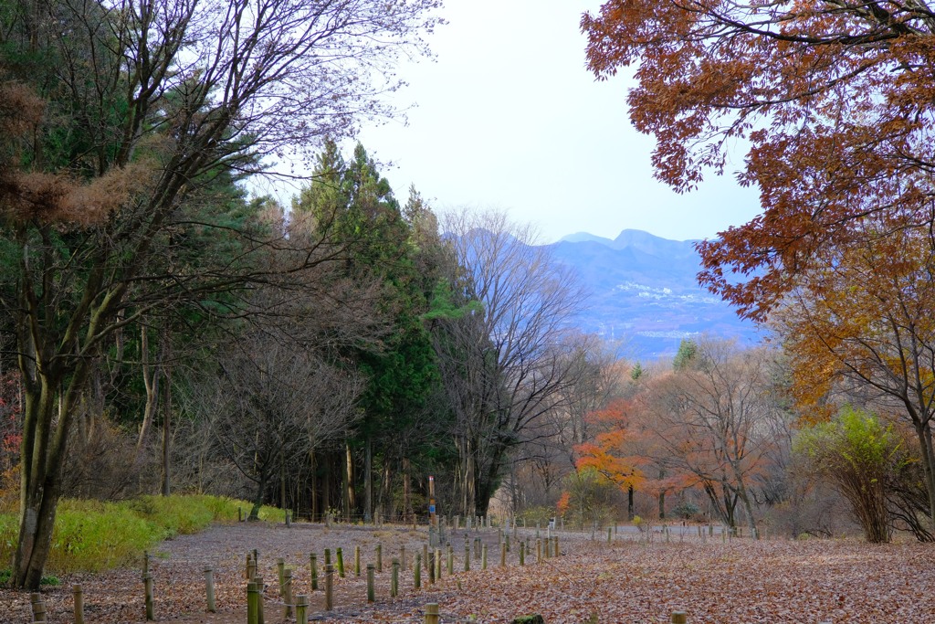 赤城自然園③