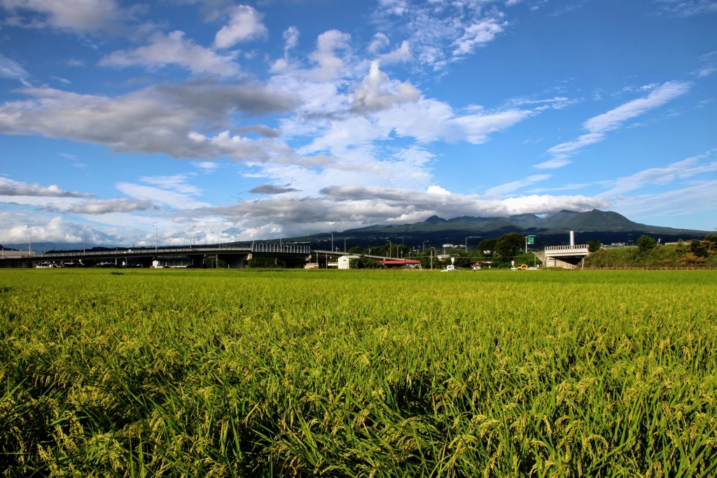 渋川市より赤城山を臨む