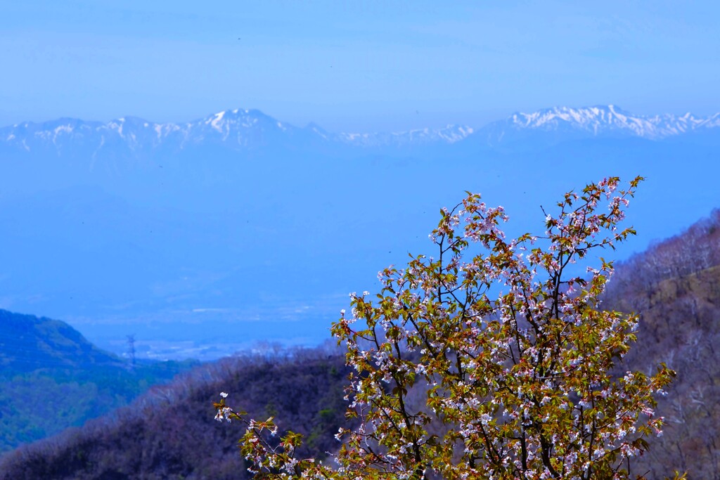 雪山