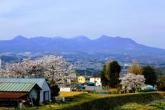 田舎町の桜風景