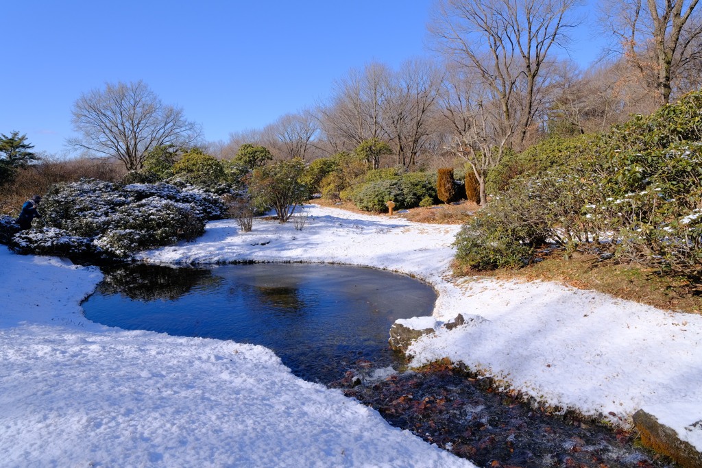 赤城自然園の雪景色①