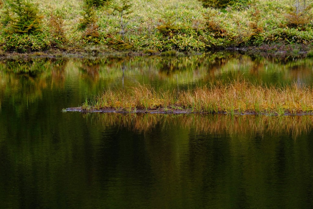池の平湿原①　鏡池
