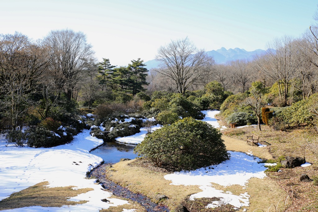 赤城自然園②