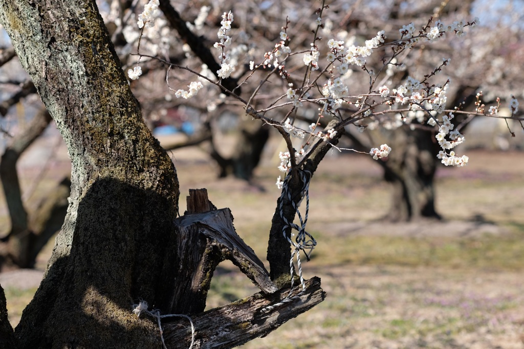 おつかれさま⑥