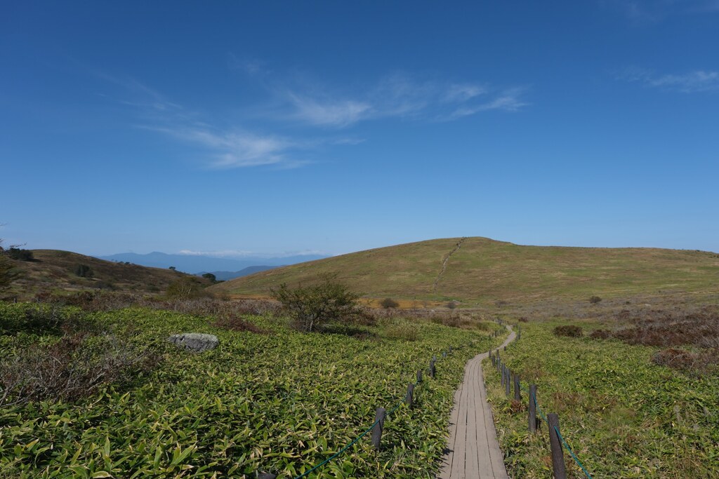 霧ヶ峰散策