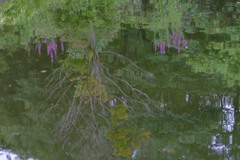 幻想