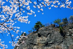 妙義山と桜②