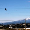 年末の高所点検