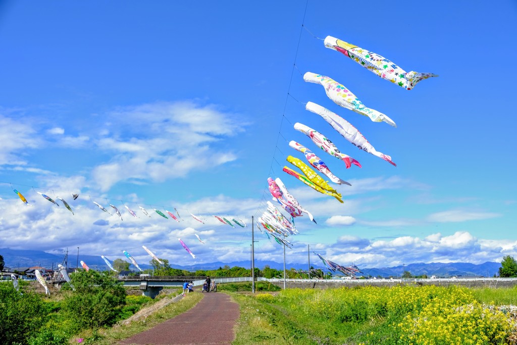 初夏の風
