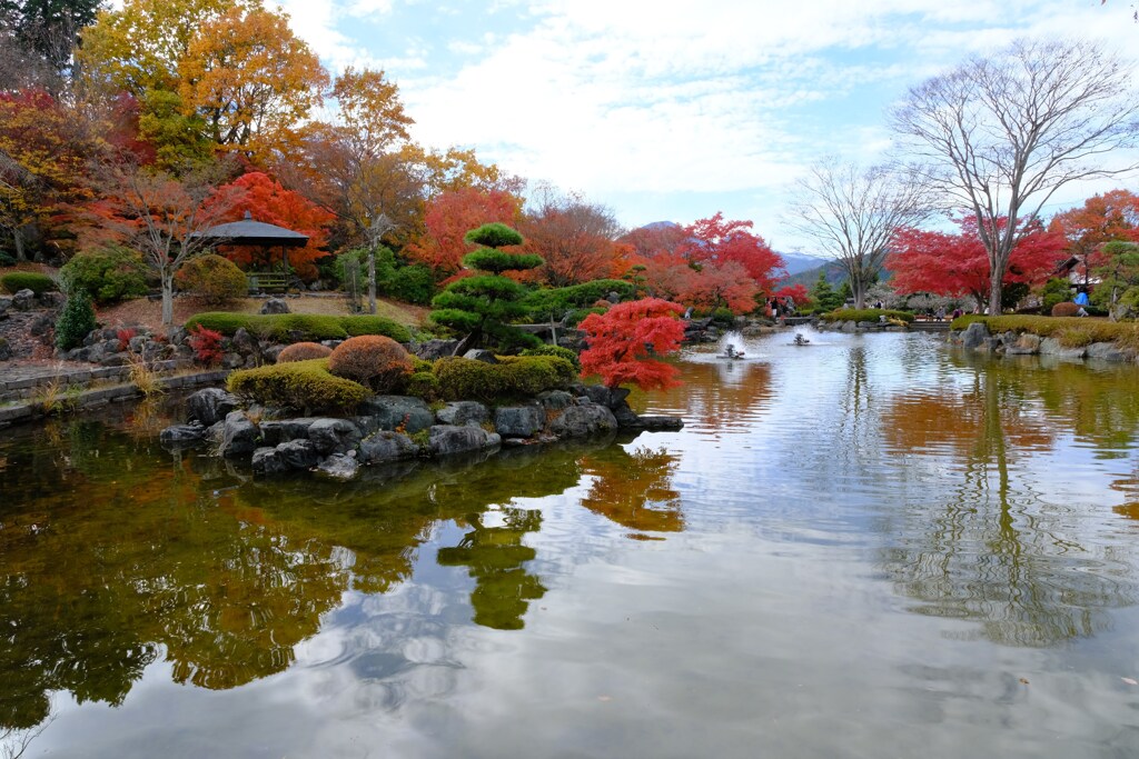 桜山公園④