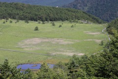 池の平湿原①