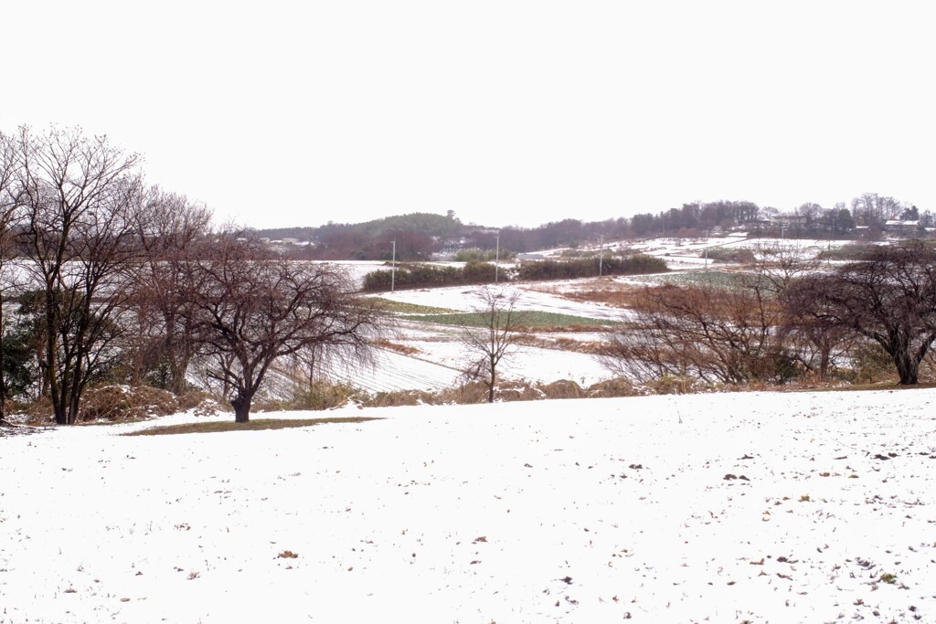 雪化粧