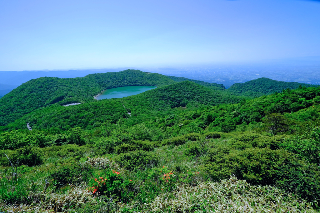 小沼