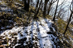 鍋割山登山道②