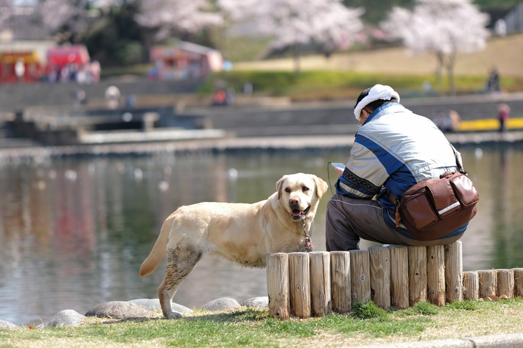 待てばいいことがありそう！