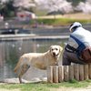 待てばいいことがありそう！
