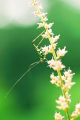 生命②