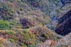 赤城山の紅葉⑤